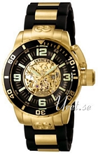 Invicta Cordubation