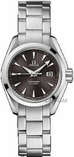 Omega Seamaster Aqua Terra Steel Grey Dial