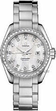 Omega Seamaster Aqua Terra Steel Silver Dial